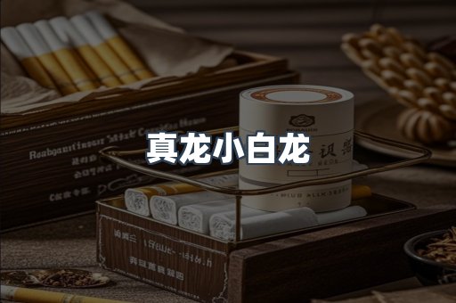 真龙小白龙